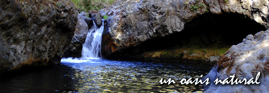 Un osasis natural