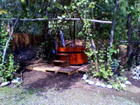Los Troncos