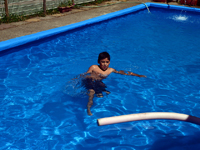 Los Troncos