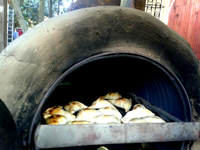 Los Troncos
