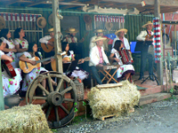 Los Troncos