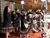 Los Troncos