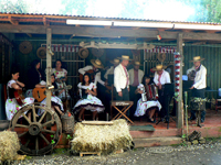 Los Troncos