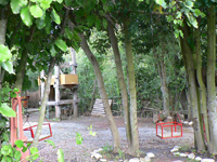 Los Troncos