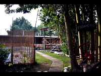 Los Troncos