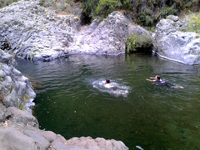 Los Troncos