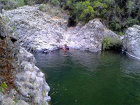 Los Troncos