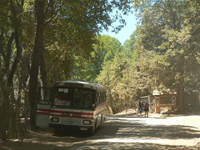 Los Troncos