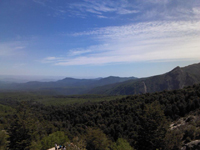 Los Troncos